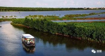 南沙潭洲最新爆料,揭秘未来城市新地标诞生记  第2张